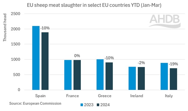 graph showing eu sheep meat slaughter